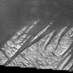 Patte blanche sur Mars