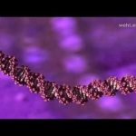 L'ADN : la molécule qui vous définit