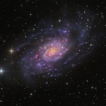 NGC 2403 dans la Girafe