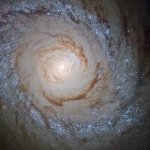 La galaxie à sursauts de formation d'étoiles M94