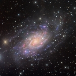 NGC 2403 dans la Girafe