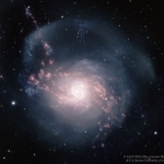 NGC 3310, galaxie à sursauts de formation d'étoiles