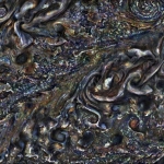 Les nuages de Jupiter filmés par Juno