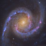 NGC 1566, la galaxie spirale de la danseuse espagnole