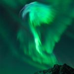 Aigle d'aurores sur la Norvège