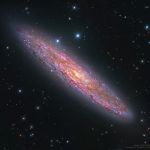 NGC 253, pour un dollar d'argent