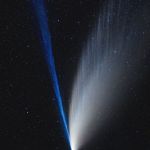 Les structures des queues de la comète NEOWISE