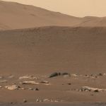 A la recherche de fossiles sur Mars