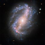 La galaxie spirale barrée NGC 6217