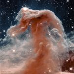 La nébuleuse à la Tête de Cheval dans l'infrarouge par Hubble