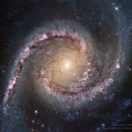 La galaxie spirale NGC 1566