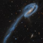 
Le Têtard vu par Hubble
