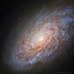 NGC 4414, galaxie spirale cotonneuse