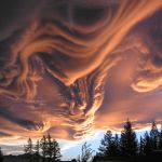 Asperatus sur la Nouvelle Zélande