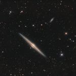 NGC 4565