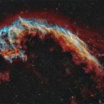 NGC 6995, la nébuleuse de la Chauve-souris 