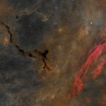 Un Hippocampe dans Céphée