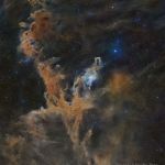 Les nébuleuses sombres du Caméléon