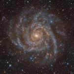 IC 342, galaxie cach&eacute;e dans la Girafe