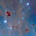 Les globules de Thackeray