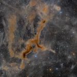 LDN 1295, la n&eacute;buleuse de la Girafe