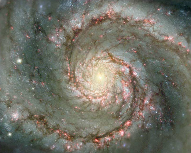 M 51: la galaxie du Tourbillon de poussière et d\'étoiles