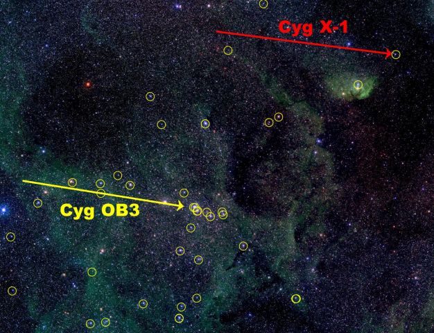 Cyg X-1 : les trous noirs peuvent-ils se former dans l\'obscurité ?
