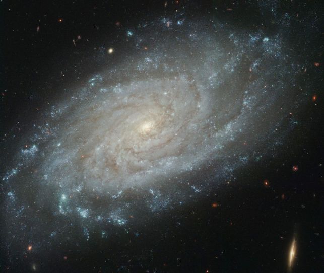 NGC 3370 : une vue plus fine