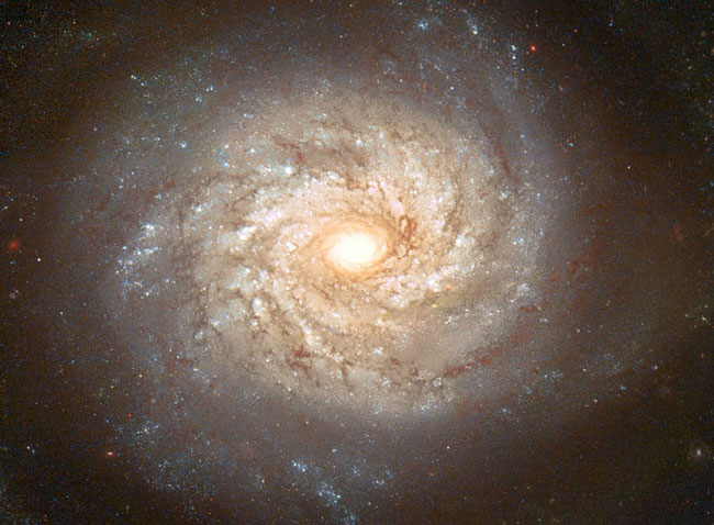 La galaxie spirale NGC 3982 avant la supernova