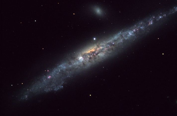 NGC 4631 : la Galaxie de la Baleine