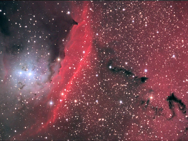 Au centre de NGC 6559 