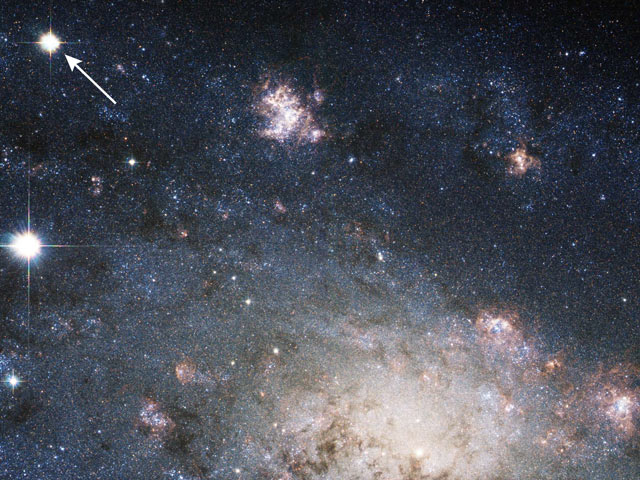 Une supernova dans la galaxie proche NGC 2403