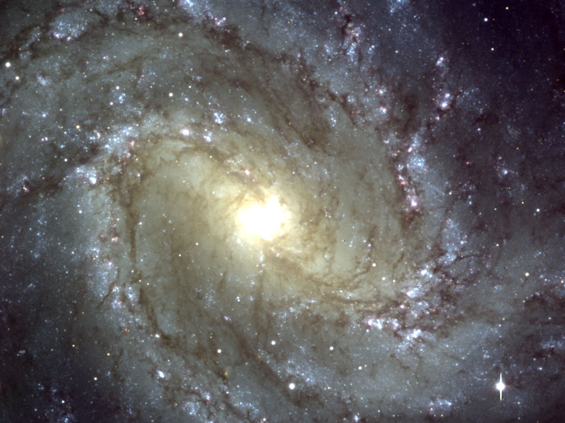 M83 vue par le VLT