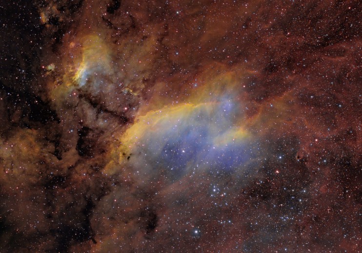 IC 4628, Nébuleuse de la Crevette