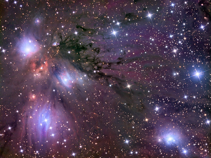 Etoiles, poussières et nébuleuses dans NGC 2170