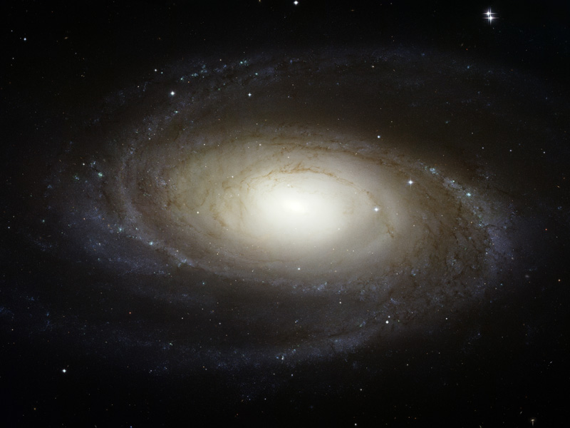 La brillante spirale M81 vue par le télescope spatial Hubble