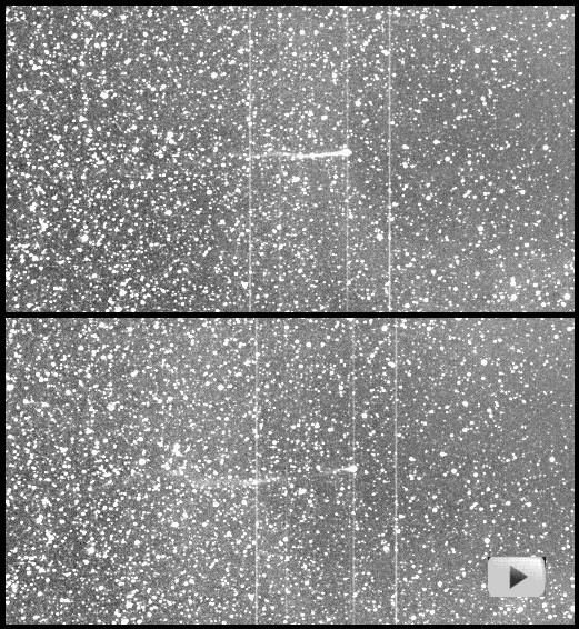 La comète Encke perd sa queue