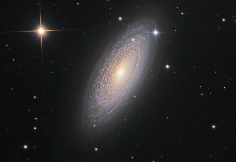 La galaxie spirale NGC 2841