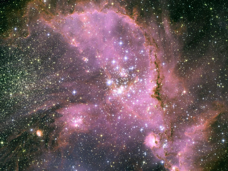 Les bébés étoiles de NGC 346