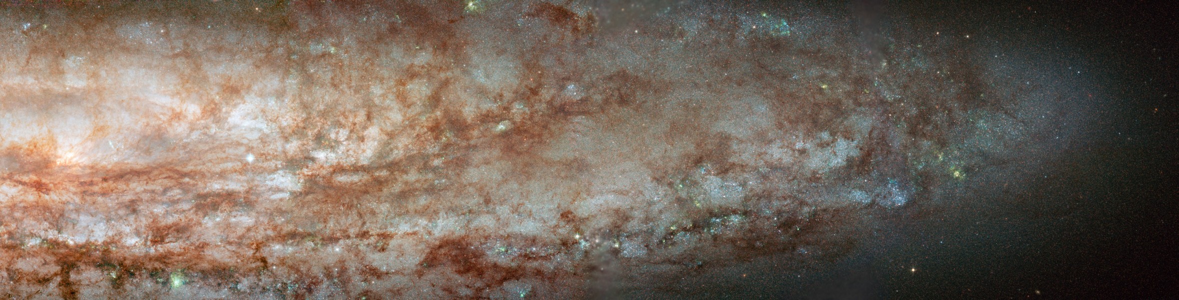 Gros plan sur NGC 253