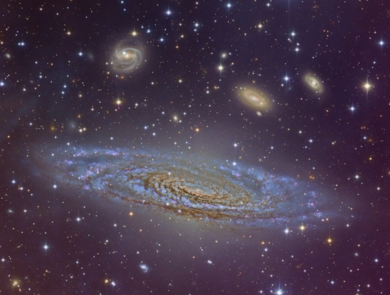 La splendide galaxie spirale NGC 7331