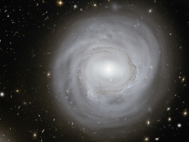 La galaxie anémique NGC 4921