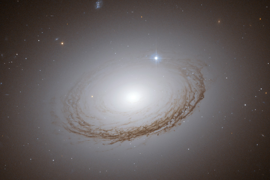 L\'insolite galaxie NGC 7049