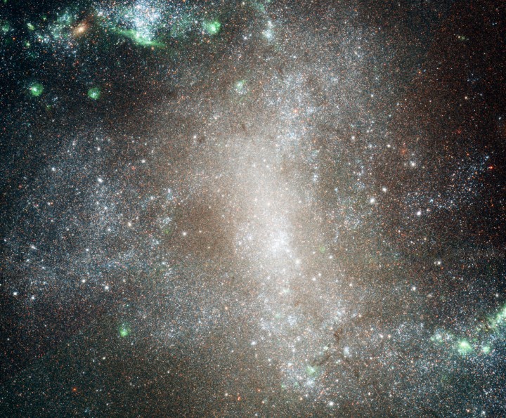 Les amas d\'étoiles de NGC 1313