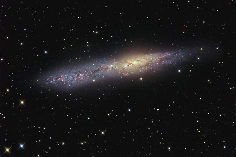 La galaxie irrégulière NGC 55