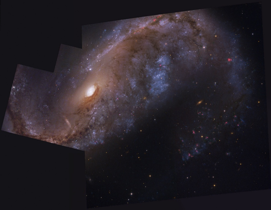 NGC 2442, galaxie planante