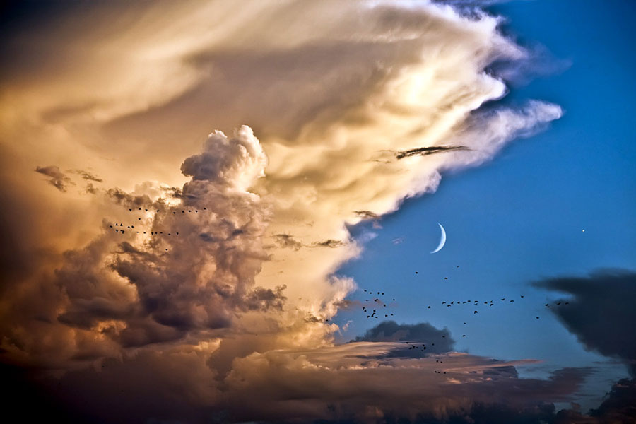 Nuages, oiseaux, Lune et Vénus