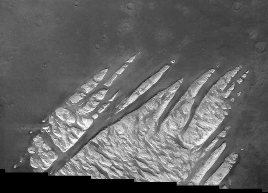 Patte blanche sur Mars