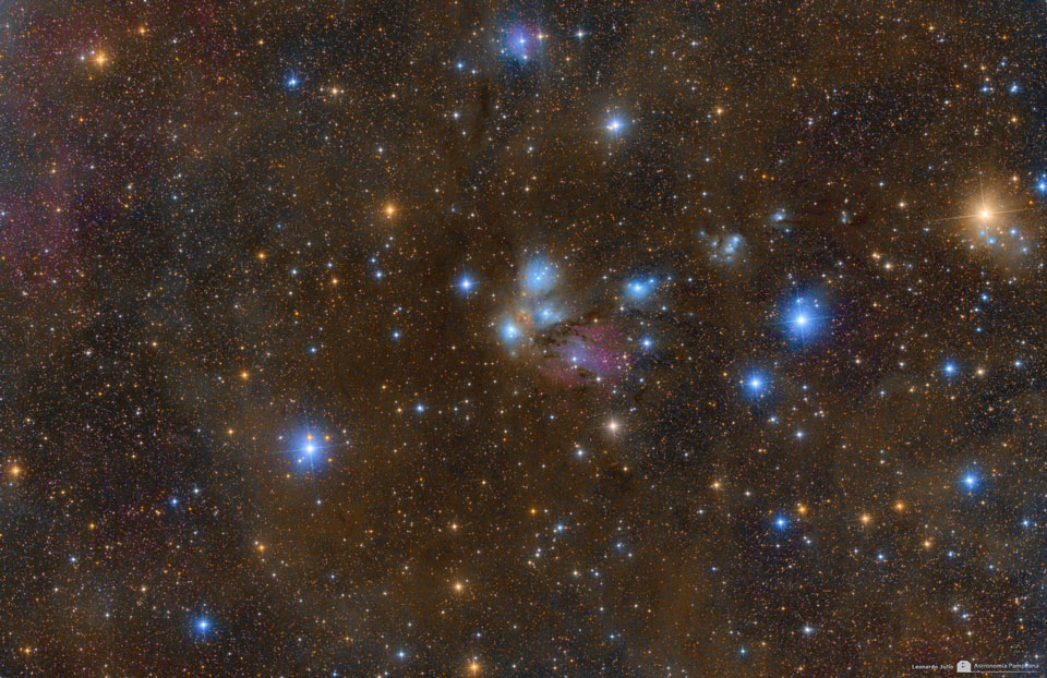 NGC 2170, céleste nature morte