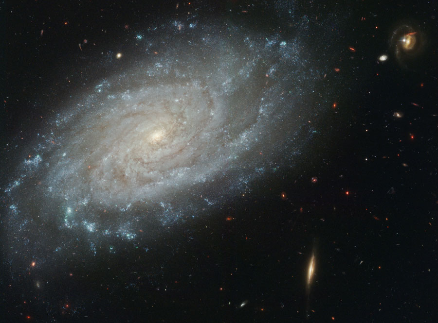 NGC 3370 et ses environs
